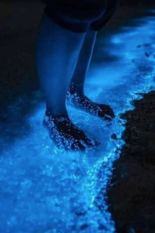 Holbox: Guided Bioluminescence Kayaking Tour - Leaving Holbox behind at night