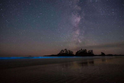 Holbox: Guided Bioluminescence Kayaking Tour