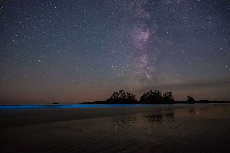 Holbox: Guided Bioluminescence Kayaking Tour - The return paddle to Holbox