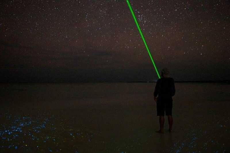 Holbox: Guided Bioluminescence Kayaking Tour - Who should book this night kayak tour?