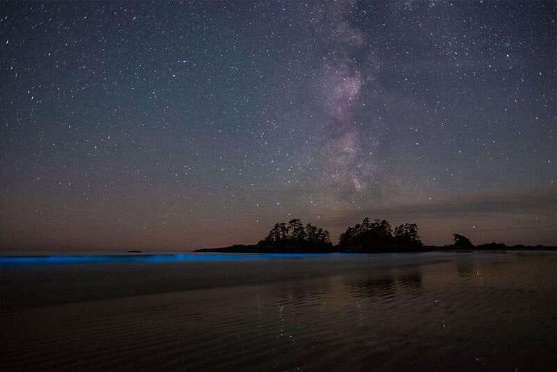 Holbox: Guided Bioluminescence Kayaking Tour - Stars, silence, and a wider sky