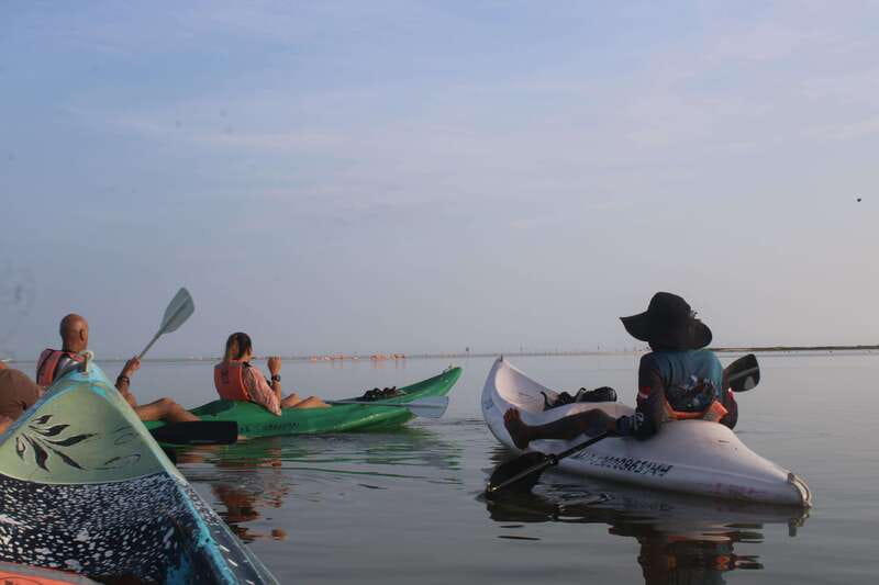 Holbox: Guided Sunrise/Sunset Kayak Tour by Mangrove Reserve - Why sunrise is the right time for Holbox mangroves