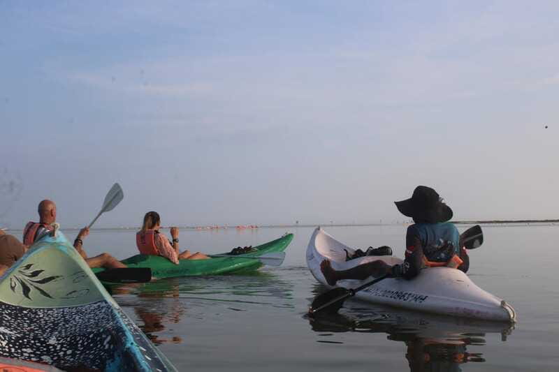 Holbox: Guided Sunrise/Sunset Kayak Tour by Mangrove Reserve - What to wear and pack for a wet morning