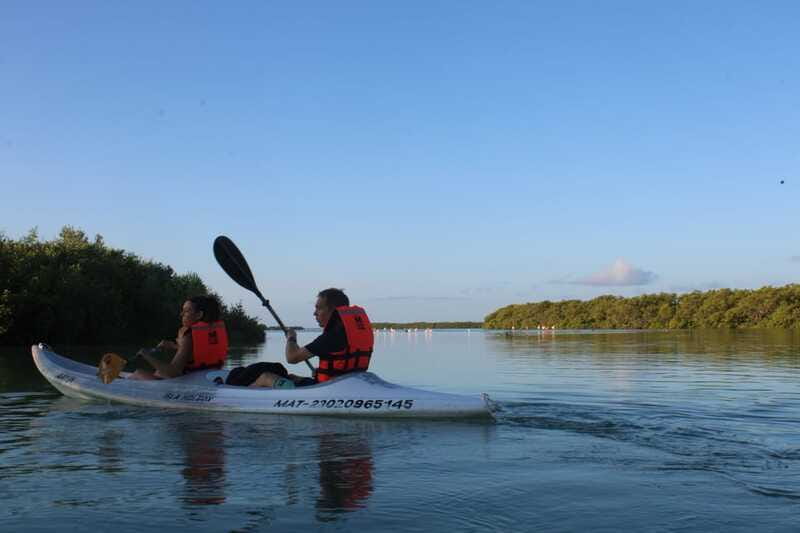 Holbox: Guided Sunrise/Sunset Kayak Tour by Mangrove Reserve - Who should book this kayak tour?