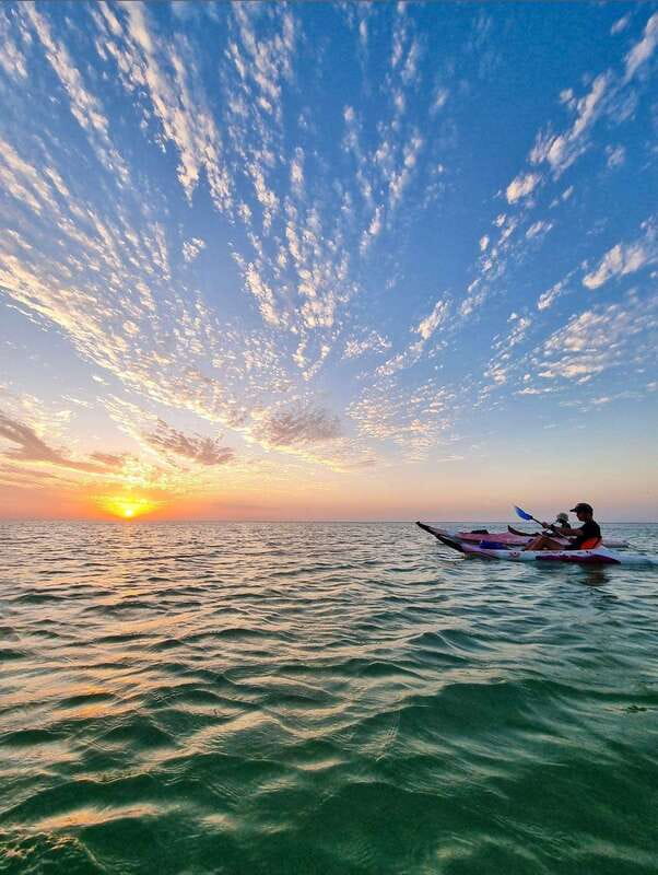 Holbox: Mangrove Sunset Kayak Tour - Key points to know before you book