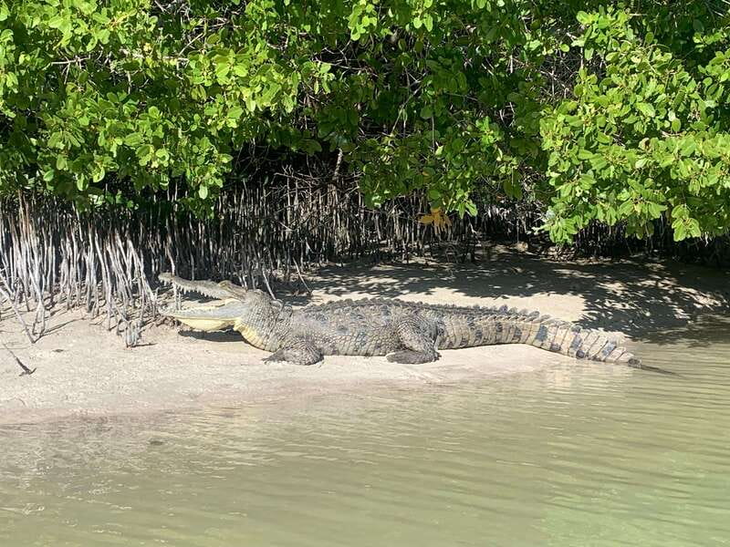 Holbox: Mangrove Sunset Kayak Tour - Practical timing and weather advice