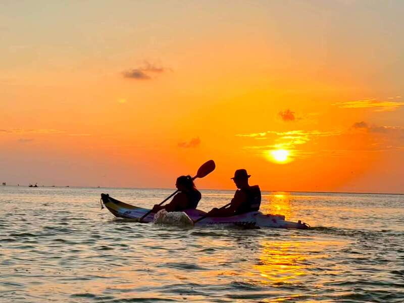 Holbox: Mangrove Sunset Kayak Tour - Paddling into three mangrove zones