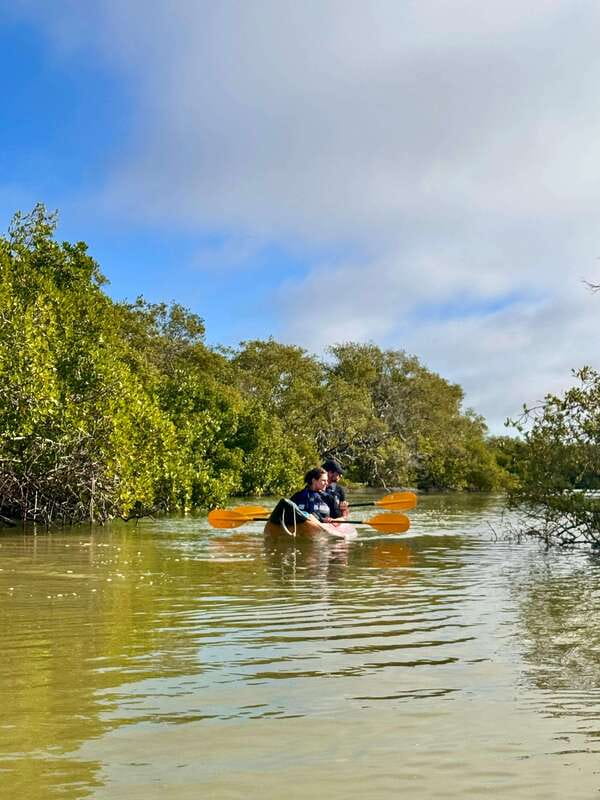 Holbox: Mangrove Sunset Kayak Tour - Is $55 a fair price?