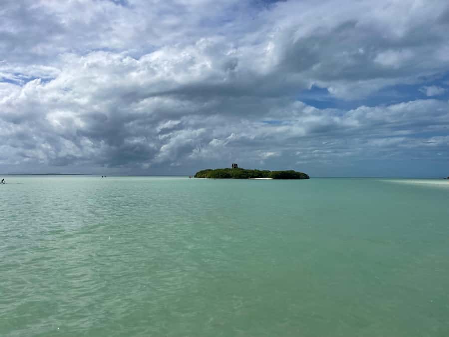 Holbox: Punta Mosquitos, Yalahau, & Pasión Island Boat Tour - Punta Mosquitos and Holbox birdlife