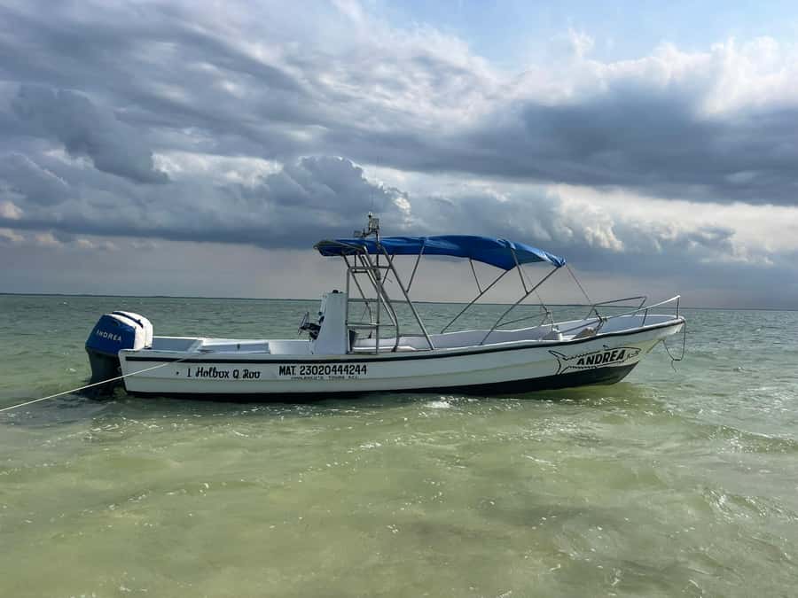 Holbox: Punta Mosquitos, Yalahau, & Pasión Island Boat Tour - Yalahau Lagoon, freshwater and mangroves
