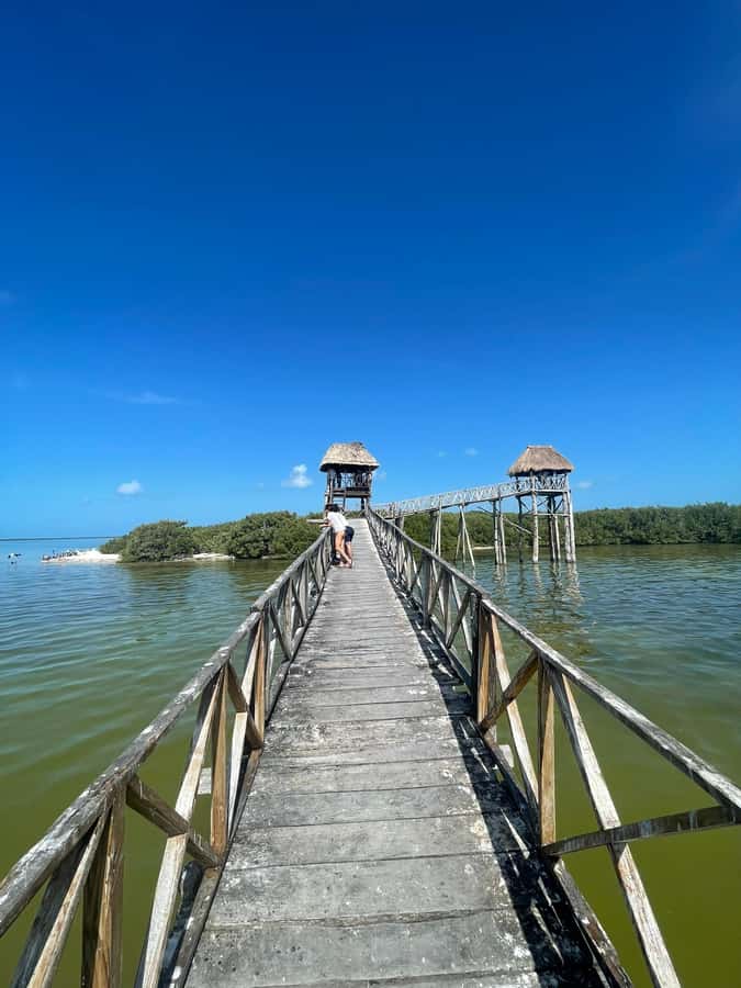 Holbox: Punta Mosquitos, Yalahau, & Pasión Island Boat Tour - What the $38 price really covers