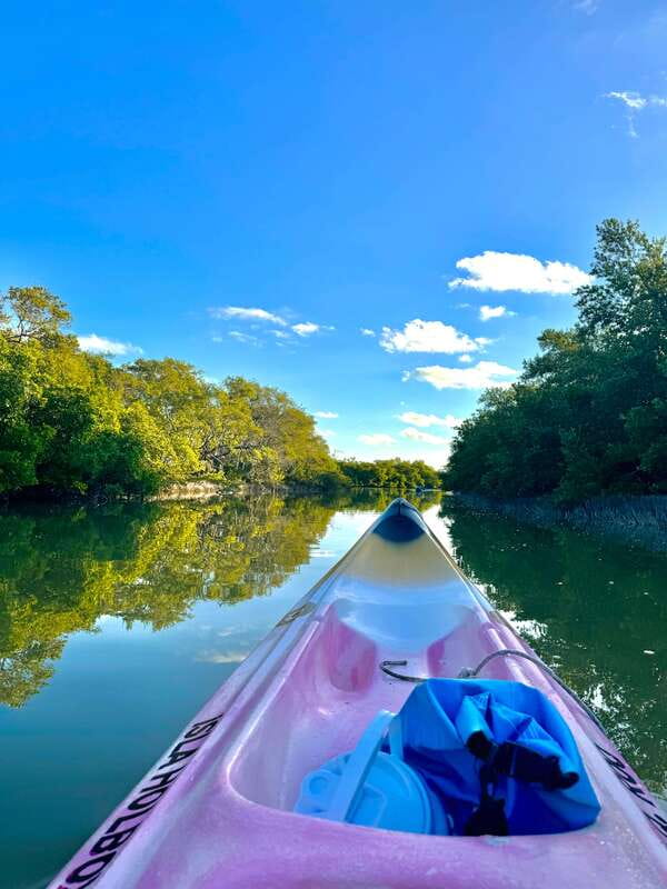 Holbox: Sunrise & Mangrove Kayak Tour - Who should book this Holbox kayak tour?