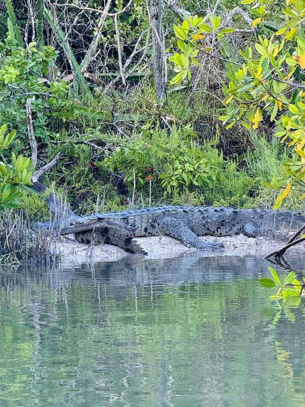 Holbox: Sunrise & Mangrove Kayak Tour - Why the sunrise works from a kayak