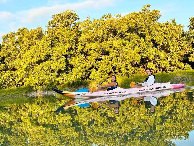 Holbox: Sunrise & Mangrove Kayak Tour - Entering the Kuká River and Yum Balam
