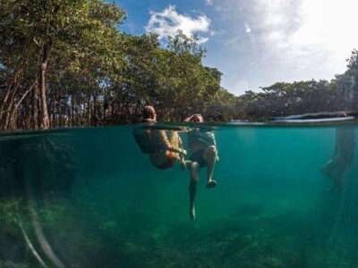 Holbox: Yum Balam Reserve Classic Boat Tour