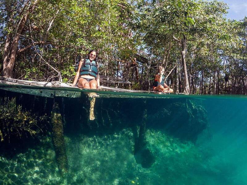 Holbox: Yum Balam Reserve Classic Boat Tour - Bird Island or Yalahau: read the options closely