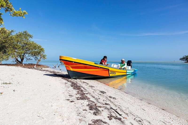 Holbox: Yum Balam Reserve Classic Boat Tour - Punta Mosquito and the shallow sandbar