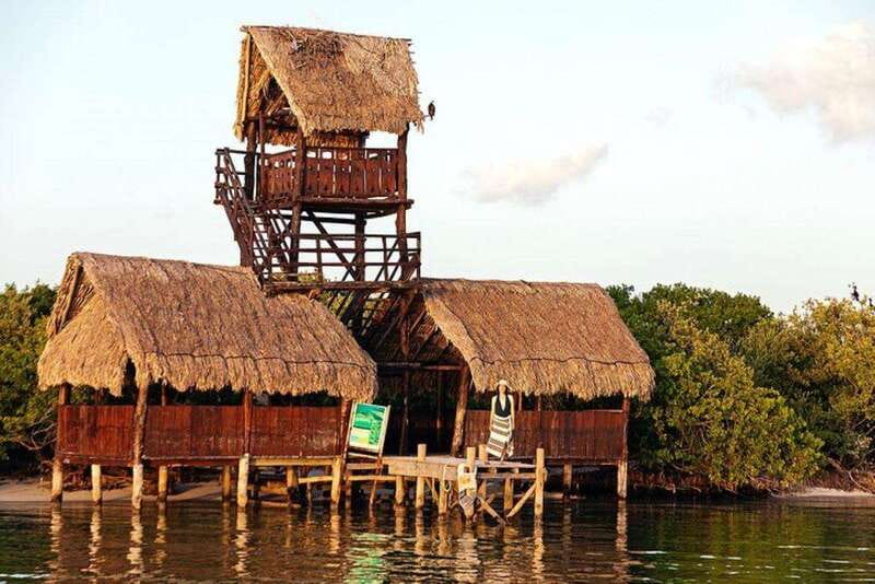 Holbox: Yum Balam Reserve Classic Boat Tour - Wildlife depends on luck and a good guide