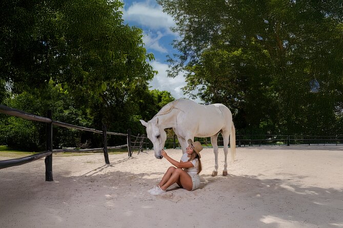 Horseback Riding and Cenote Swim from Cancun or Playa del Carmen - What you learn among the trees