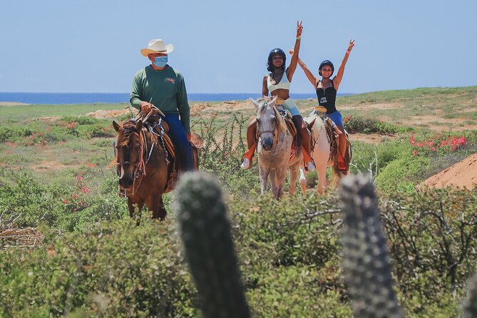 Horseback Riding Beach and Desert in Cabo - Key points to know before you ride