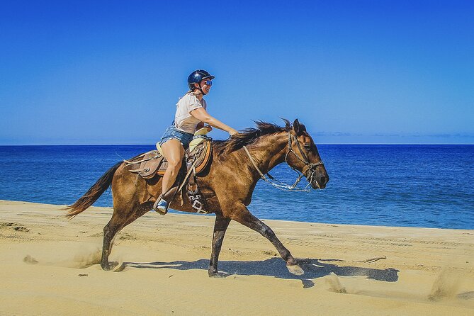 Horseback Riding Beach and Desert in Cabo - From Cabo hotels to the Baja trailhead