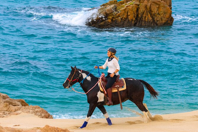 Horseback Riding Beach and Desert in Cabo - What the $85 price really buys