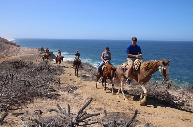 Horseback Riding Experience in Rancho San Cristobal - The ride through desert and mountain terrain
