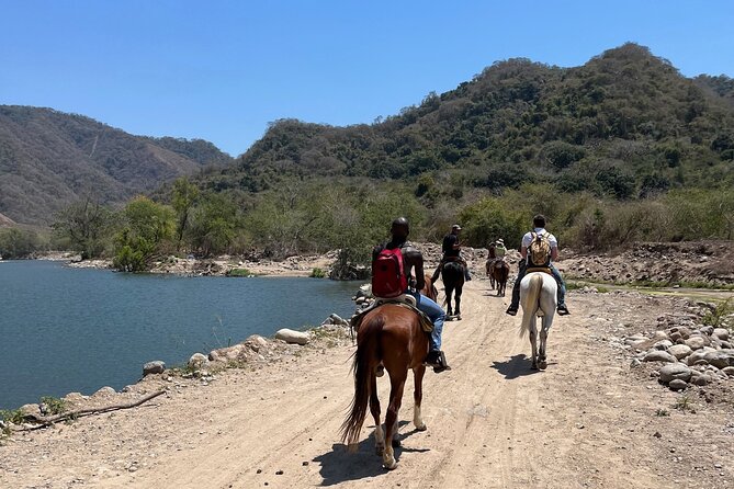 Horseback Riding & Swim: Tequila Tasting, BBQ & Margaritas - The unusual promise: a horse ride that can end in the river