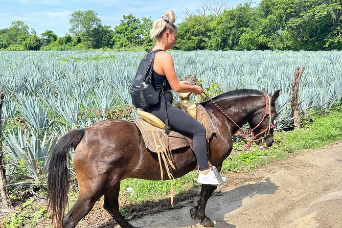 Horseback Riding & Swim: Tequila Tasting, BBQ & Margaritas - What the countryside ride is really like