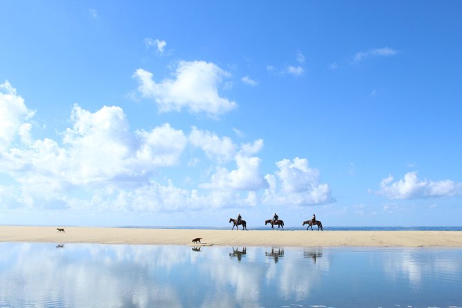Horseback Riding Tour in Cabo San Lucas - From Cabo hotel to traditional Baja ranch