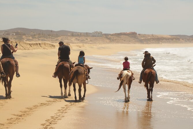 Horseback Riding Tour in Cabo San Lucas - Group size and the beginner experience