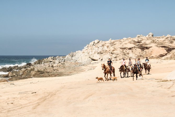 Horseback Riding Tour in Cabo San Lucas - Who should choose Rancho Carisuva
