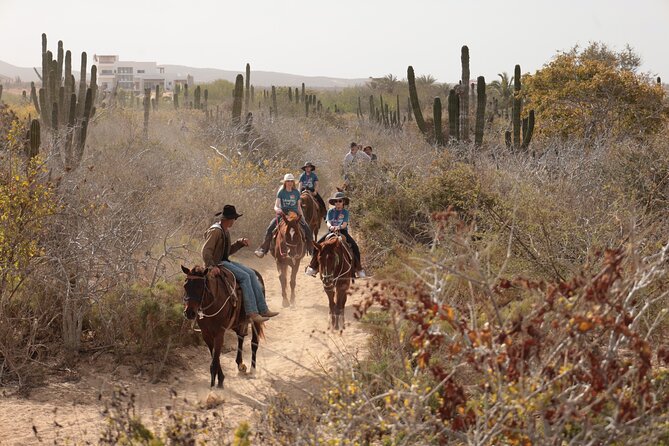 Horseback Riding Tour in Cabo San Lucas - Should you book this Cabo horseback ride?