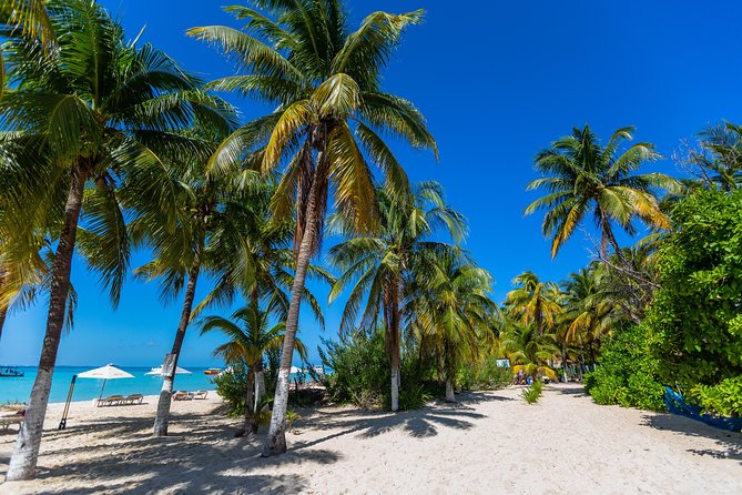 Isla Mujeres Catamaran, Open Bar & Optional Buffet and pick up - Sailing across the Caribbean Sea