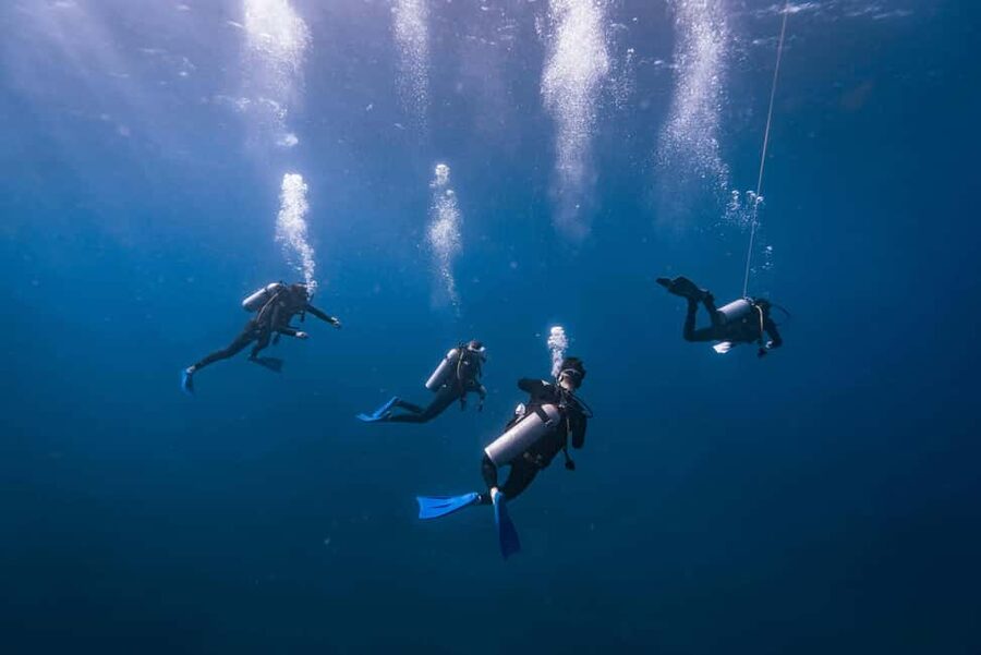 Isla Mujeres: Catamaran Ride with Open Bar, Snorkeling, and Lunch - A full day from Cancun to Isla Mujeres