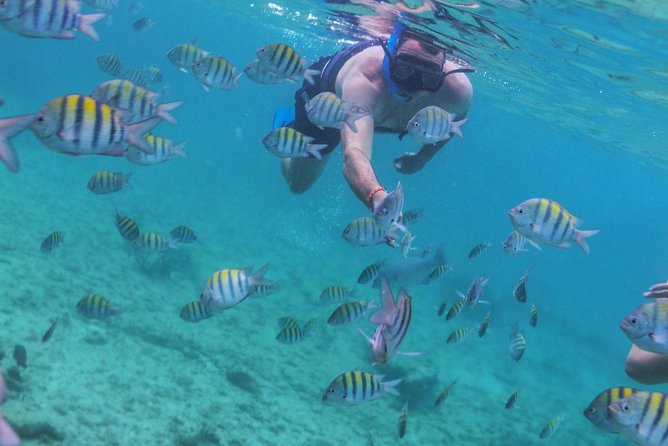 Isla Mujeres Luxury Sailing: Adults Only or Family Friendly - Is $129 a Fair Price?