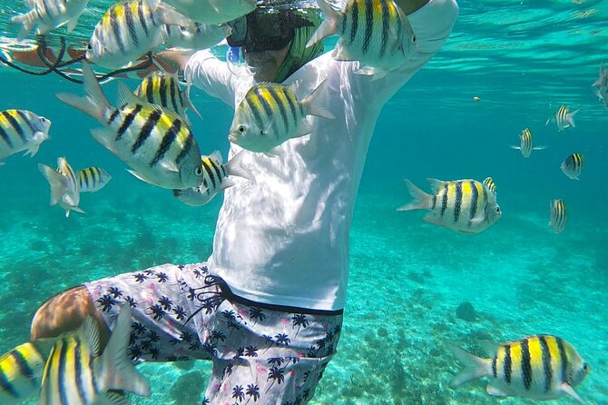 Isla Mujeres Snorkeling Adventure at the Underwater Museum - Who will enjoy this most