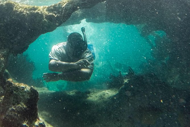 Isla Mujeres Snorkeling Tour Adventure - Meeting in central Isla Mujeres at noon