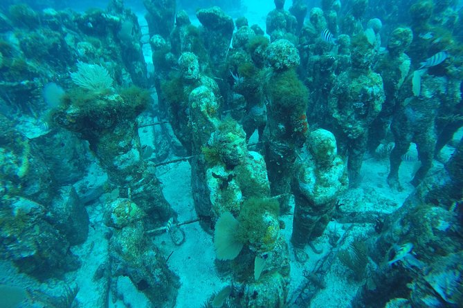 Isla Mujeres Snorkeling Tour Adventure - Equipment, instruction, and comfort in the water