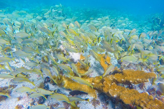 Isla Mujeres Snorkeling Tour Adventure - The crew can make or break the afternoon