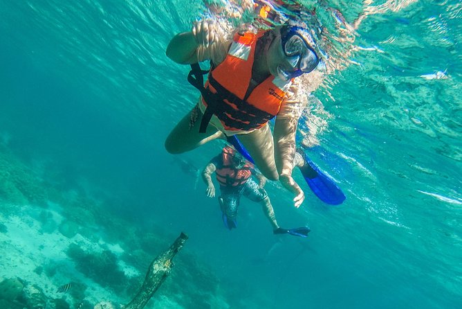 Isla Mujeres Snorkeling Tour Adventure - Lighthouse Reef: the shallowest and fishiest stop