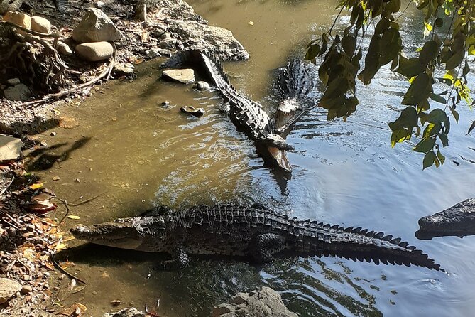 Ixtapa Island Tour - Why Ixtapa Island works so well as a half-day outing