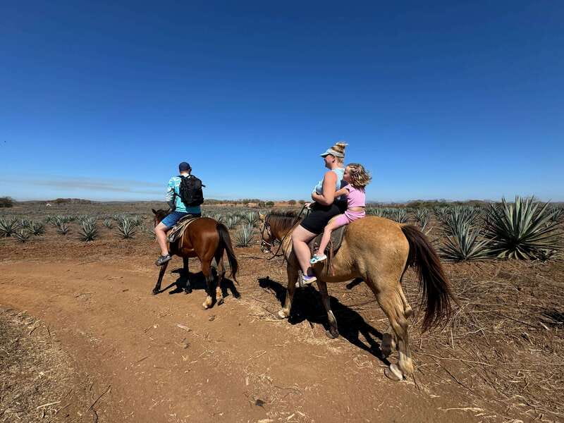 Jungle and beach horseback ride + lunch + mezcal - Pickup From Mazatlán Hotels, Condos, or the Port