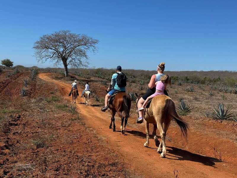 Jungle and beach horseback ride + lunch + mezcal - Is $105 a Fair Price?