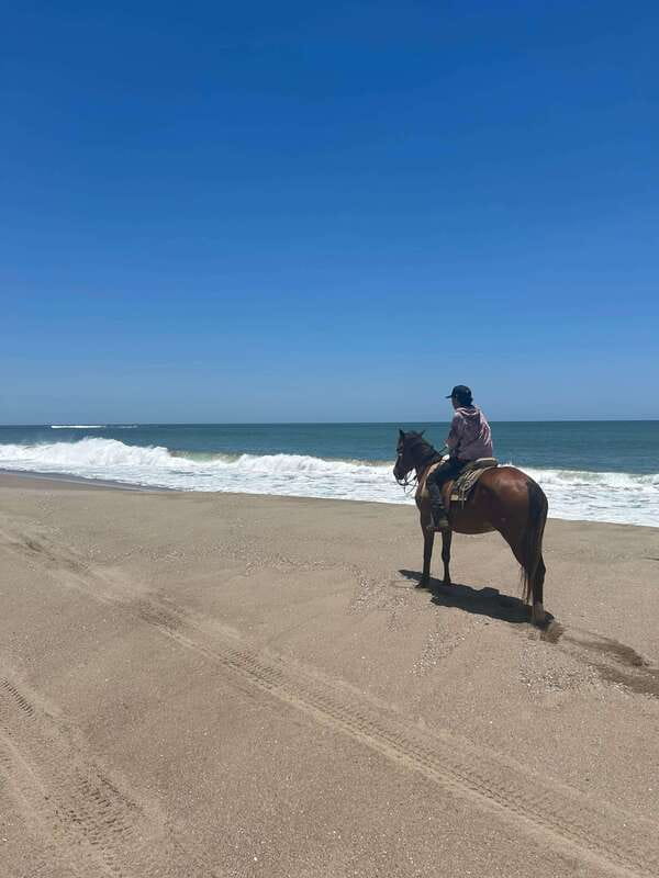 Jungle and beach horseback ride + lunch + mezcal - Practical Details Before You Book