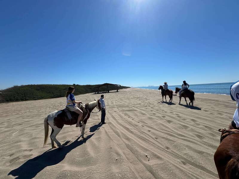 Jungle and beach horseback ride + lunch + mezcal - Meeting the Horses at Mr. Lionso Ranch