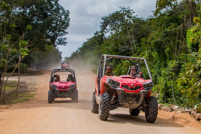 Jungle Buggy Tour from Playa del Carmen Including Cenote Swim - Two hours of jungle trails, one beautiful cenote