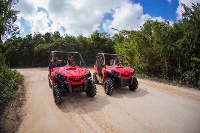 Jungle Buggy Tour from Playa del Carmen Including Cenote Swim - Sharing a Can-Am buggy and taking your turn