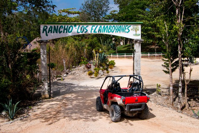 Jungle Buggy Tour from Playa del Carmen Including Cenote Swim - The cenote stop is the real reward