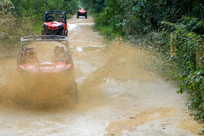 Jungle Buggy Tour from Playa del Carmen Including Cenote Swim - Who should book this experience?